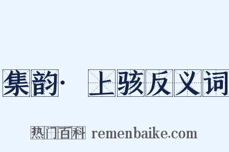 集韵·上骇反义词是什么意思的图片